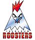 Iserlohn Roosters